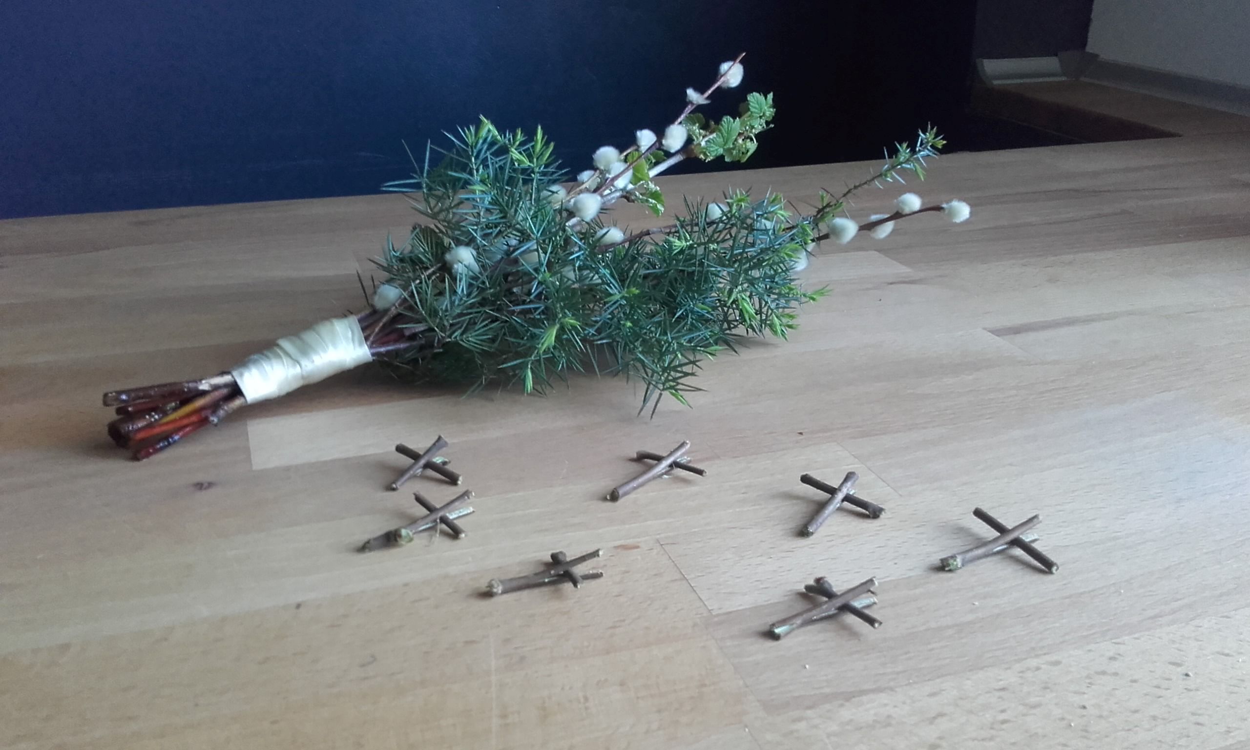 Read more about the article Krzyżyki palmowe / Ruda Śląska – Kochłowice